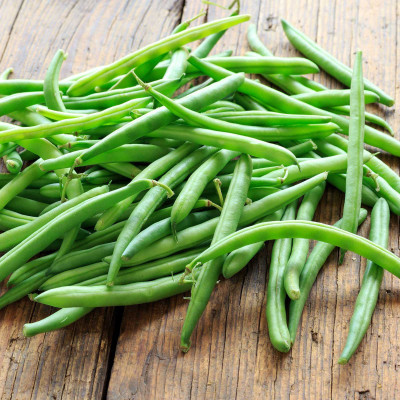 SEMPA French Beans Vegetable Seed(500 per packet)