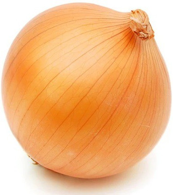 ARTHAM Onion Seed(1000 per packet)