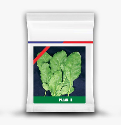 Qualtivate PUAS-6A Rich Palak Or Indian Spinach Seed(300 per packet)