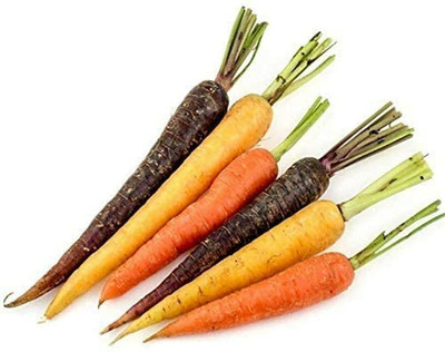 CYBEXIS Mix Carrot Seeds Vegetable Seed Easy Cultivate Grow Your Own1000 Seeds Seed(1000 per packet)