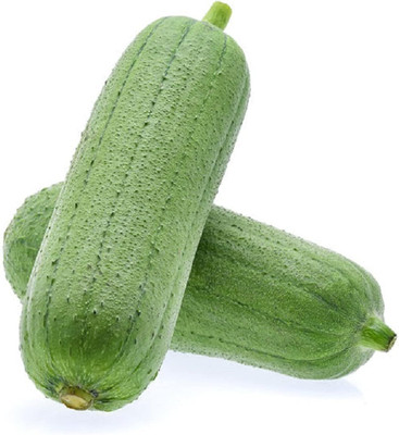 Qualtivate GBPT-7A Long Smooth Sponge Gourd Seed(50 per packet)