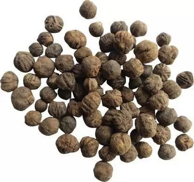 grassland GRASSLAND TEAK WOOD / TECTONA GRANDIS / SAGWAN TREE SEEDS PACK OF 400 Seed(400 per packet)