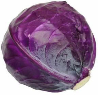 Quentova RED ACRE CABBAGE Brassica-SNIG Seed(75 per packet)