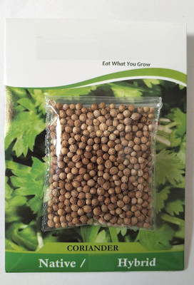 EKAKSHAR Syngenta Coriander Seeds Kalmi Dhaniya (Leafy Vegetable) 40 Seeds P64 Seed(40 per packet)