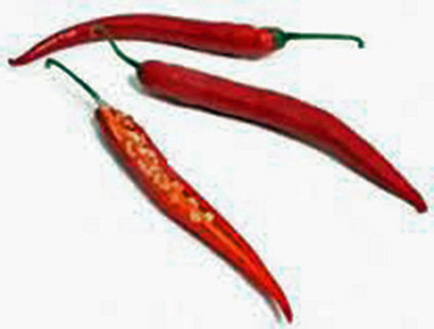Biosnyg High Germination LONG RED THIN PEPPER Seeds For Gardening-(4000 Seeds) Seed(4000 per packet)