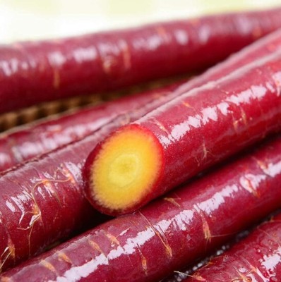 KNESSiN LAX-8 Carrot Crimson Seed(1000 per packet)