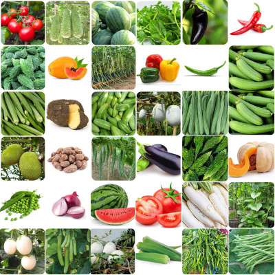 Pbevergreen 40 Variety Vegetable Seeds Combo Pack Seed(2700 per packet)
