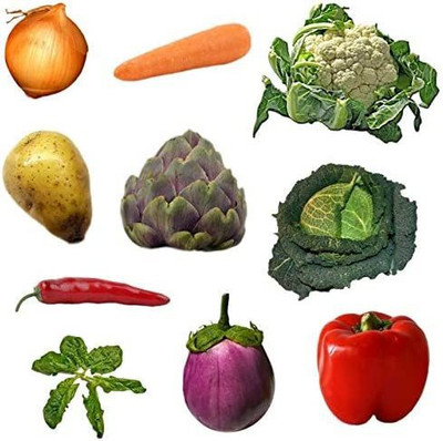 CYBEXIS 10 Pack Assorted Vegetable Seeds Seed(10 g)