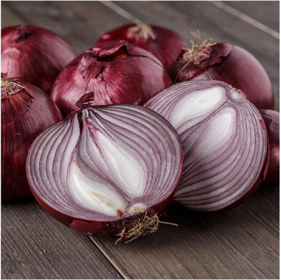 WILLVINE HUA -IX Red Burgundy Onion Seeds [50g] Seed(30000 per packet)