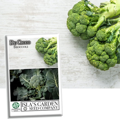 WILLVINE GOI -I De Cicco Broccoli Seeds for Planting [25g] Seed(7500 per packet)