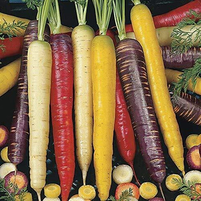 CRGO CARROT , GAJAR Seed(125 per packet)