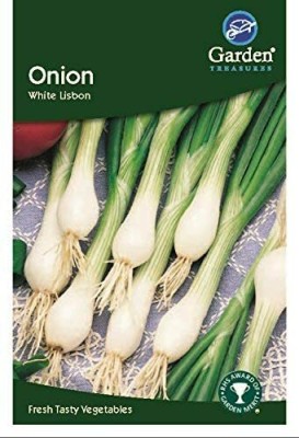 CYBEXIS Spring Onion Grow Your Own4000 Seeds Seed(4000 per packet)