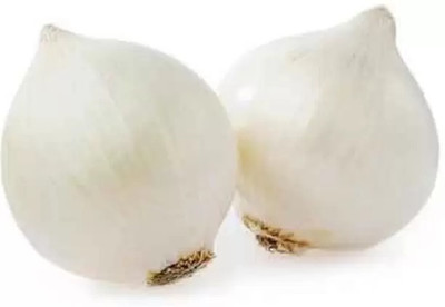MAA Onion white, Onion Seed(220 per packet)