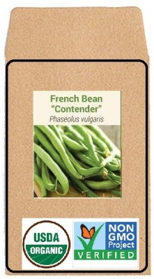 CYBEXIS Hybrid Seeds-French Bean400 Seeds Seed(400 per packet)