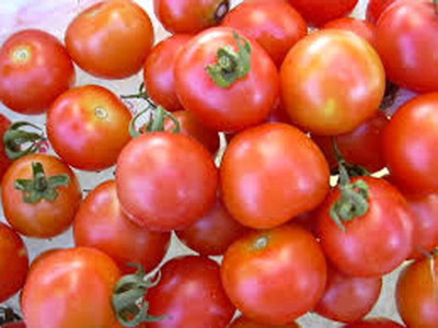 Qualtivate HYB-6A Sweet Large Cherry Tomato Seed(300 per packet)