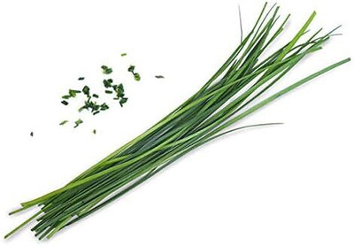Qualtivate PUA-2A Hybrid Chives Seeds Seed(300 per packet)