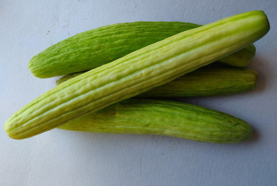 CYBEXIS NBIR-8 - Desi Kakdi Long Melon - (450 Seeds) Seed(450 per packet)