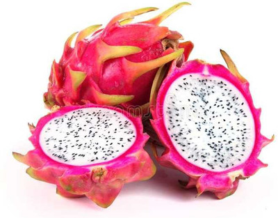 Oliver imported@ hybrid dragon fruit seed Seed(20 per packet)