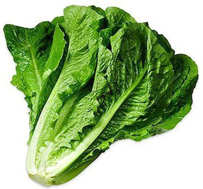 MKR Enterprises Lettuce Seed(250 per packet)