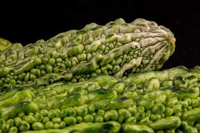 XOLDAA F1 BEST QUALITY BITTER GOURD SEEDS Seed(10 per packet)
