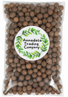 Annadata Trading Company Premium White Sandalwood Seed | Safed Chandan | Santalum album Seed(50 g)