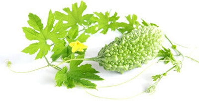XOLDAA F1 BEST QUALITY BITTER GOURD SEEDS Seed(17 per packet)