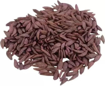 Dbbrothers Iceberg lettuce seeds Pack of 34 Seed(34 per packet)