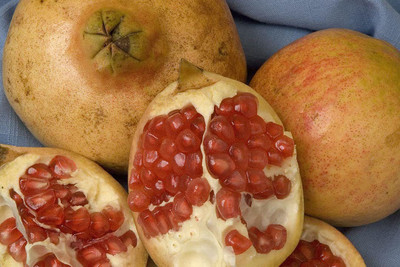 VibeX XLL-86 - California Pomegranate Tree - (30 Seeds) Seed(30 per packet)