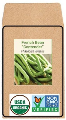 KNESSiN French Bean Seed(50 per packet)