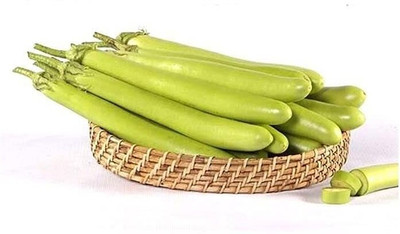 Aywal Brinjal Seed(190 per packet)