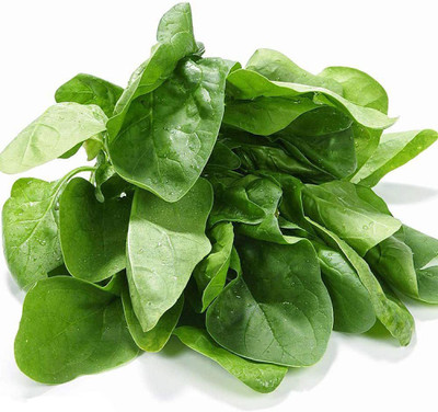 CYBEXIS Small Leaf Spinach Seeds1000 Seeds Seed(1000 per packet)
