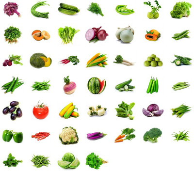 R-DRoz Combo of 46 Vegetables Seeds (2250+ Seeds) Seed(2300 per packet)