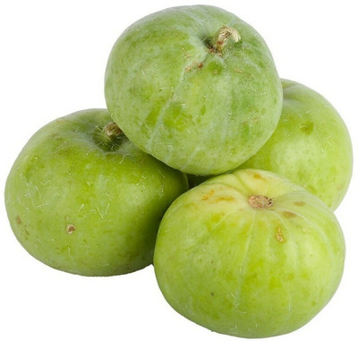 KLARKEE Org_157_Apple Gourd (Tinda) Selected Seeds Seed(100 per packet)