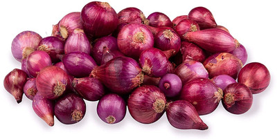 XOLDA Organic onion Seed(38 per packet)