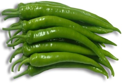 Farmonix High Quality Green Chilli हरी मिर्च Seed(300 per packet)