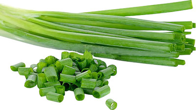 Biosnyg Non GMO Japanese Long Green Onion Seeds For Planting-(3000 Seeds) Seed(3000 per packet)