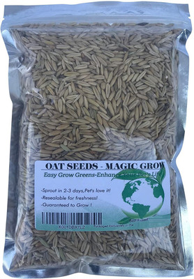 CYBEXIS LX-47 - Sweet Oats for Cats - (4500 Seeds) Seed(4500 per packet)