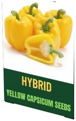 Qualtivate PUA-9A YELLOW CAPSICUM VEGETABLE SEEDS Seed(100 per packet)