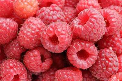 JVK Raspberry sweet fruit hybrid eco-friendly Seed(100 per packet)