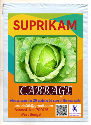SUPRIKAM VERY BIG SIZE CABBAGE / BANDHA KOPI GROW IN YOUR GARDEN TO MAKE NATURE BEAUTY Seed(35 per packet)