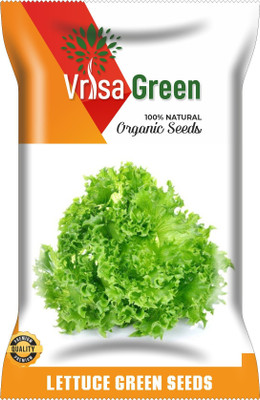 Vrisa Green GREEN LETTUCE Seed(100 per packet)