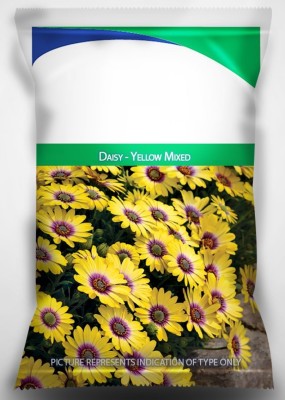 VibeX XLL-86 - Daisy - Yellow Mixed Flower - (540 Seeds) Seed(540 per packet)