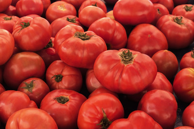Quentova VR MOSCOW TOMATO-VDI-4F Seed(250 per packet)