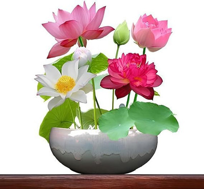 GREENSEA Lotus Seeds, Padma Phul Seed(10 per packet)