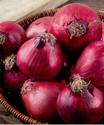 CYBEXIS VXI-53 - Red Burgundy Onion - (4500 Seeds) Seed(4500 per packet)