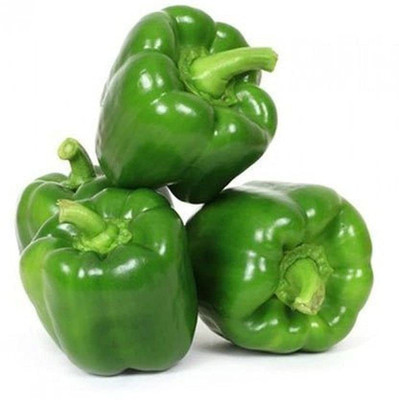 CYBEXIS PUAS-94 - Capsicum (Simla Mirch/Pahadi Mirch) - (150 Seeds) Seed(150 per packet)
