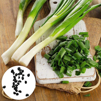 CYBEXIS Good Germination Spring Onion Seeds4000 Seeds Seed(4000 per packet)