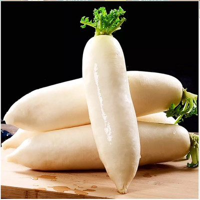 VINTI (मूली के बीज) White radish Seed(2500 per packet)