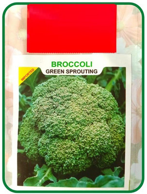 CYBEXIS GUA-15 - Lieutenant Broccoli - (1350 Seeds) Seed(1350 per packet)