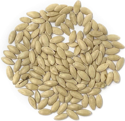 VibeX NDIR-85 - Cucumber (Marketmore) - (1350 Seeds) Seed(1350 per packet)